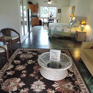 Hale Pua - Hibiscus Holiday home Koloa