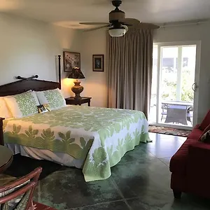 Hale Pua - Seaside Villa Koloa